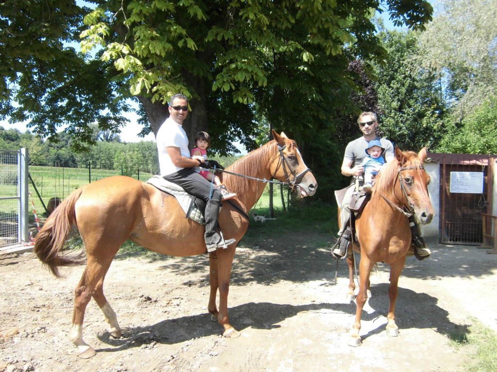 Passeggiate a cavallo nei boschi 