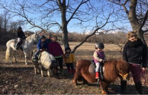 Passeggiata sui pony