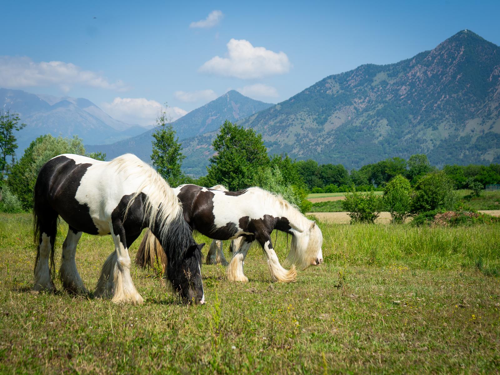WhatsApp Image 2026-06-03 at 19.14.20